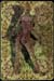 cardback03.0001