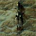 map61705.0001