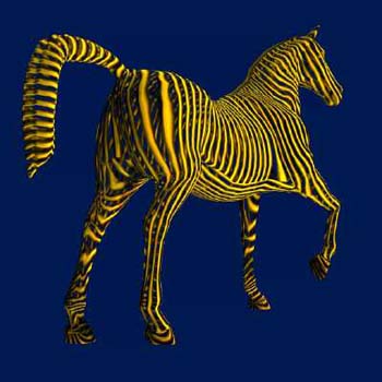 429horse111.0001